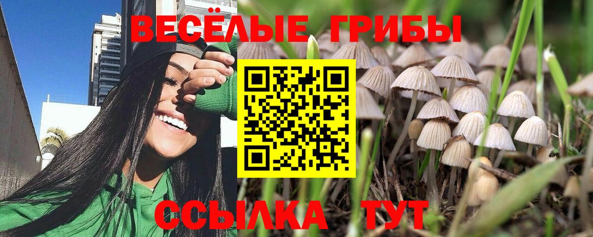 Псилоцибиновые грибы Magic Shrooms  Вход с VPN  Рязань 